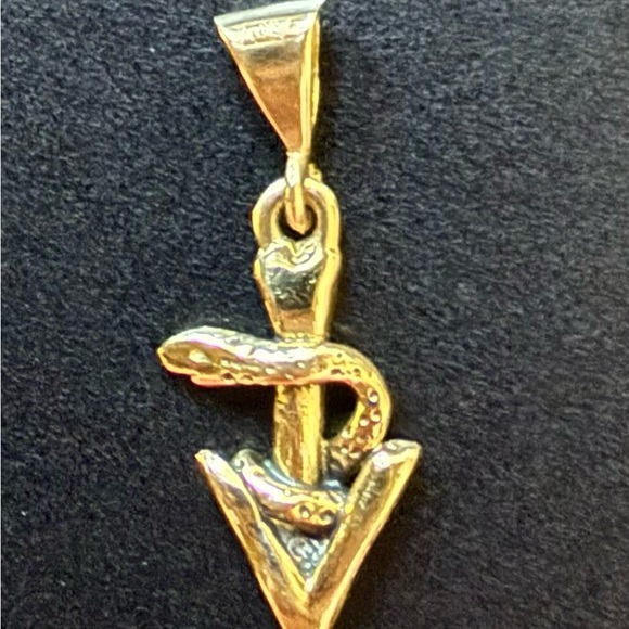 14K Gold Veterinary Caduceus Small Pendant